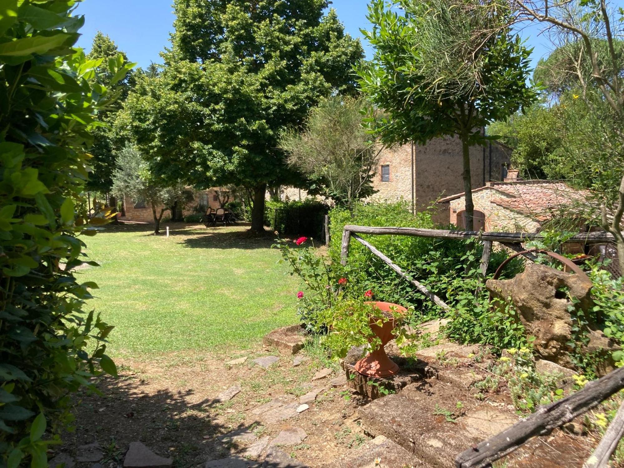 Agriturismo Le Colline Montescudaio Exterior photo