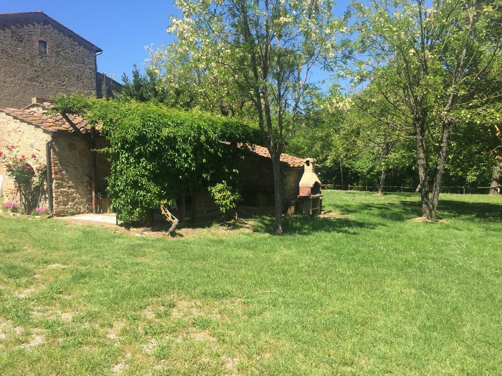 Agriturismo Le Colline Montescudaio Exterior photo