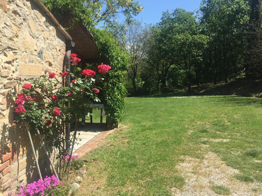Agriturismo Le Colline Montescudaio Exterior photo